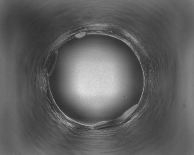X0000084551354200702231153