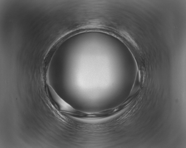 X0000084551356200702231153