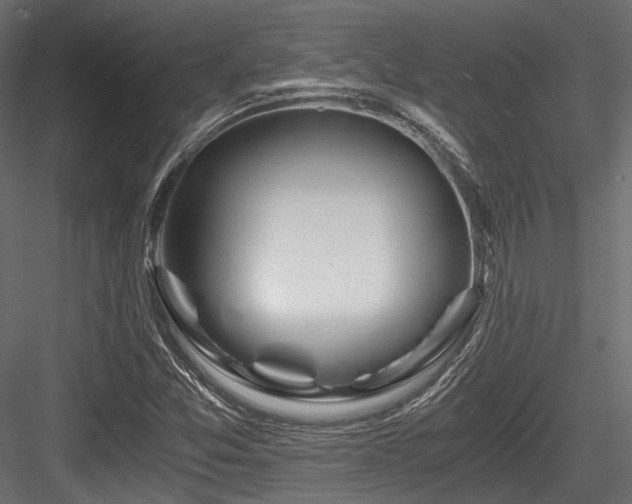 X0000084551357200702231153