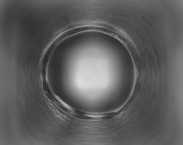 X0000084551360200702231153