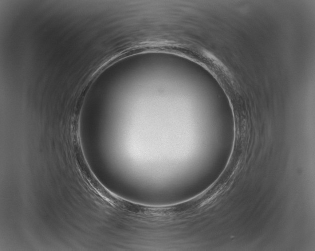 X0000084551361200702231153