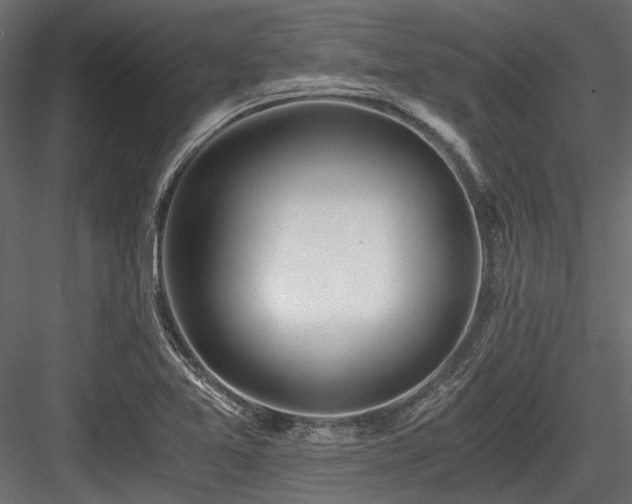 X0000084551365200702231153
