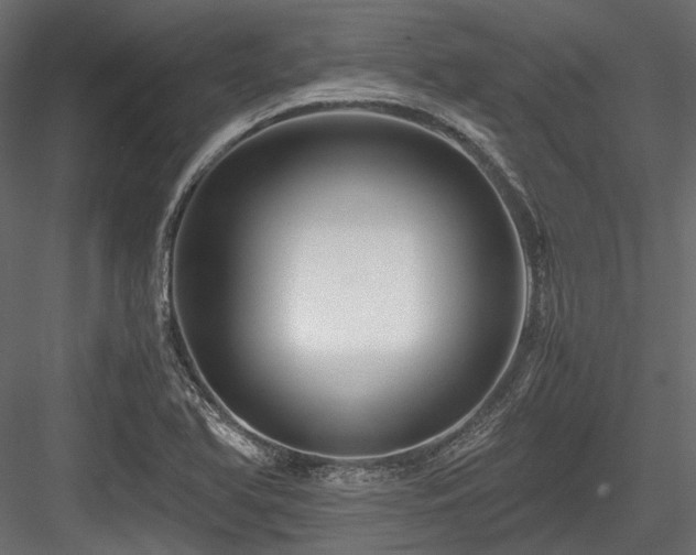 X0000084551366200702231153