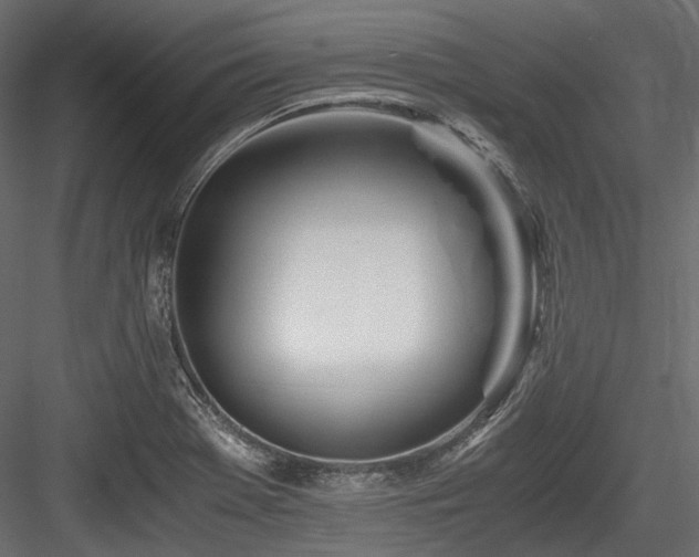 X0000084551369200702231153
