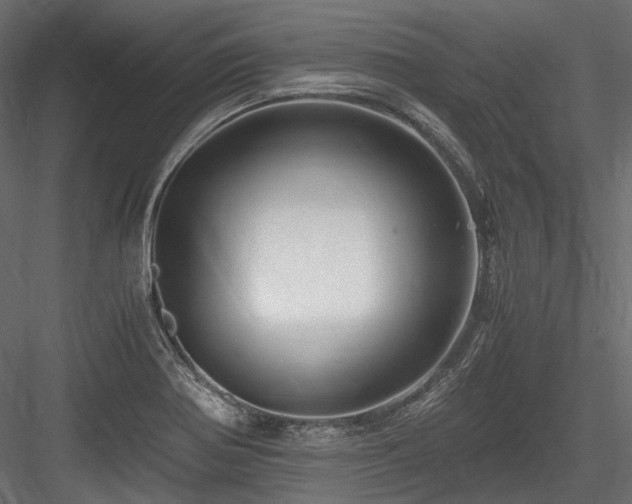 X0000084551370200702231153