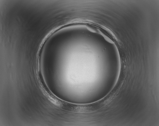 X0000084551371200702231153