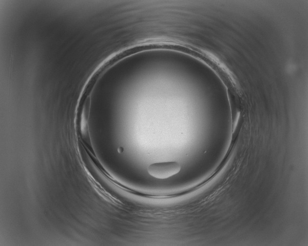 X0000084551372200702231153