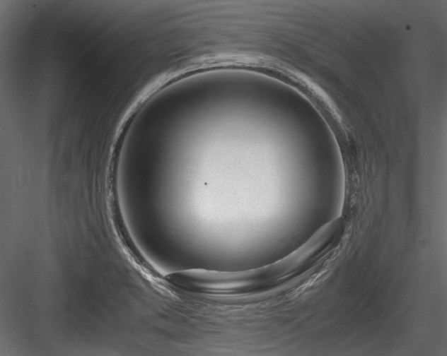 X0000084551373200702231153