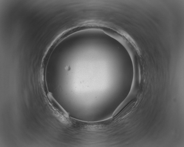 X0000084551376200702231153