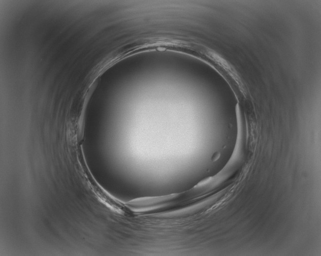 X0000084551377200702231153