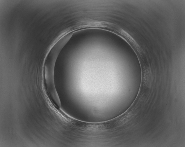 X0000084551378200702231153
