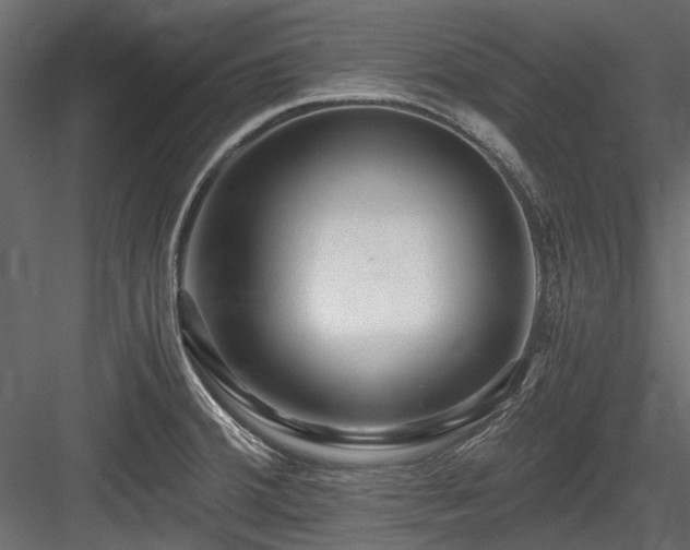 X0000084551380200702231153