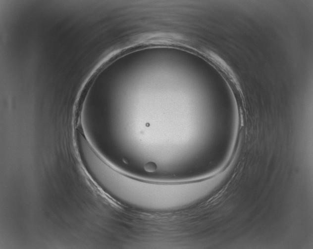 X0000084551384200702231153
