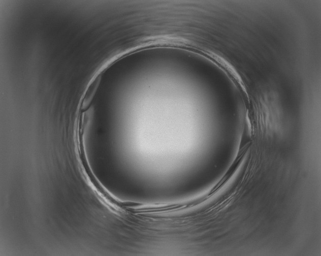 X0000084551391200702231153