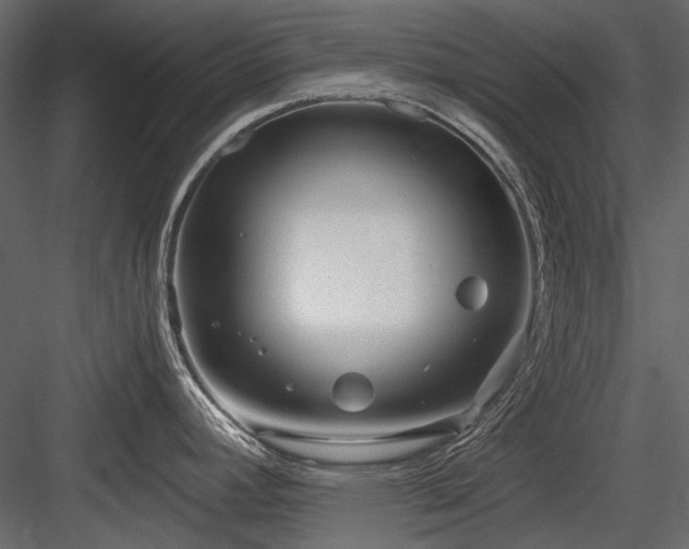 X0000084551392200702231153
