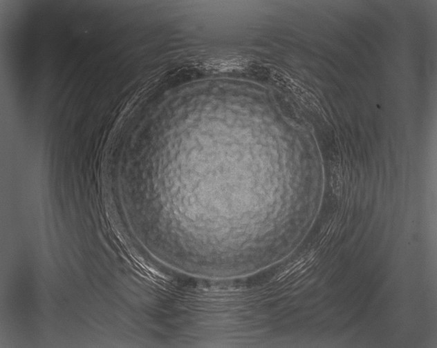 X0000084551393200702231152