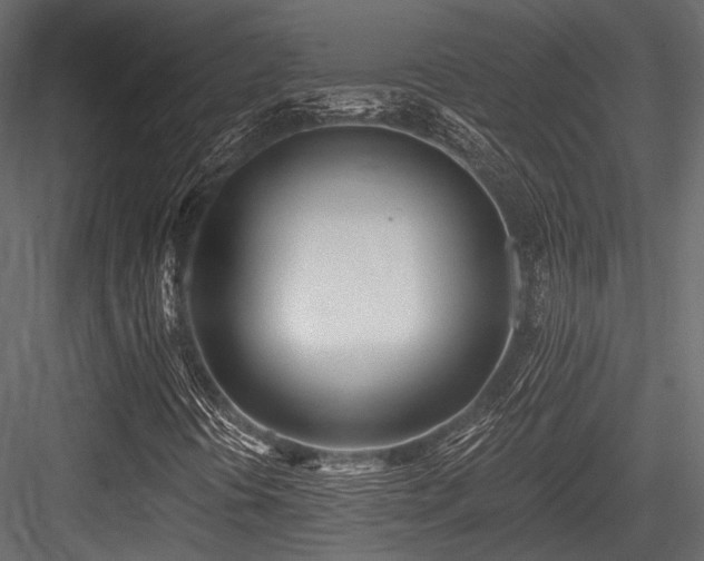 X0000084551394200702231152