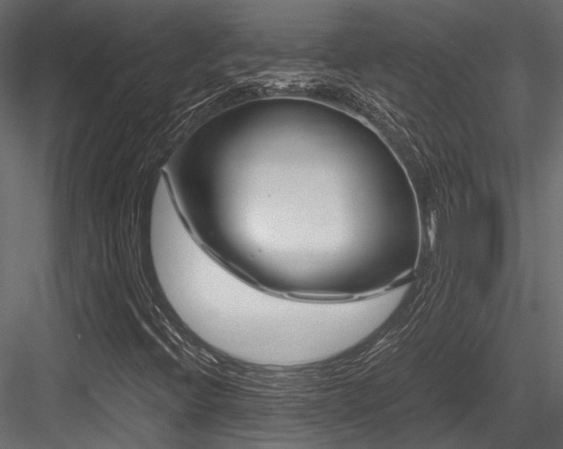 X0000084551396200702231152