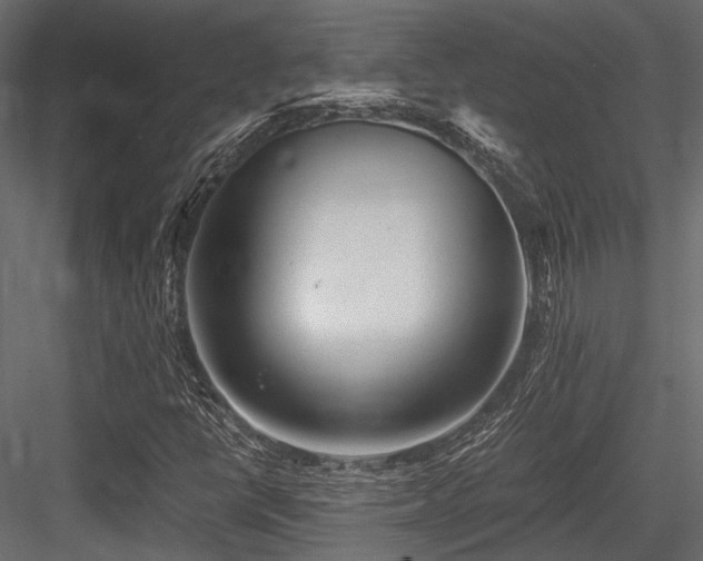 X0000084551398200702231152