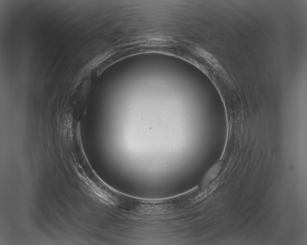 X0000084551402200702231152