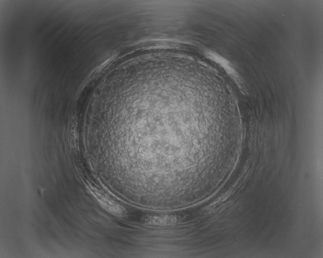 X0000084551403200702231152