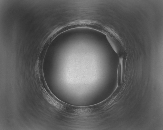 X0000084551404200702231152