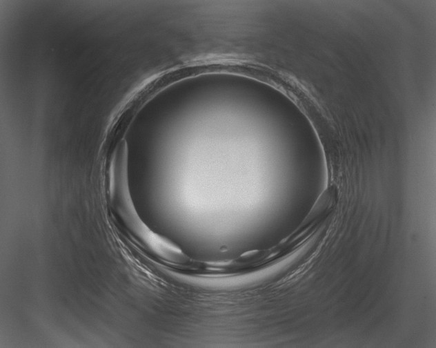 X0000084551406200702231152