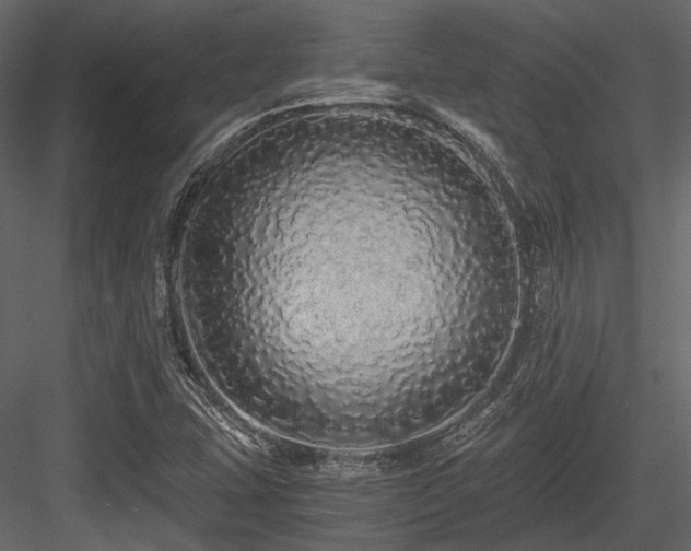 X0000084551407200702231152