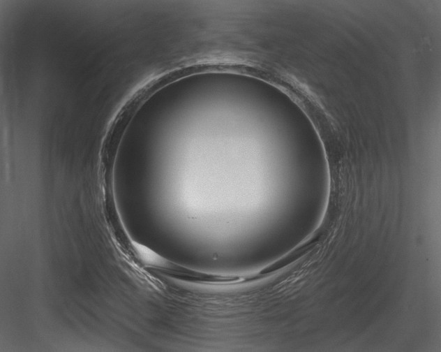 X0000084551408200702231152