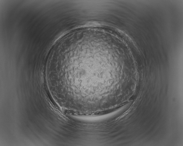 X0000084551409200702231152