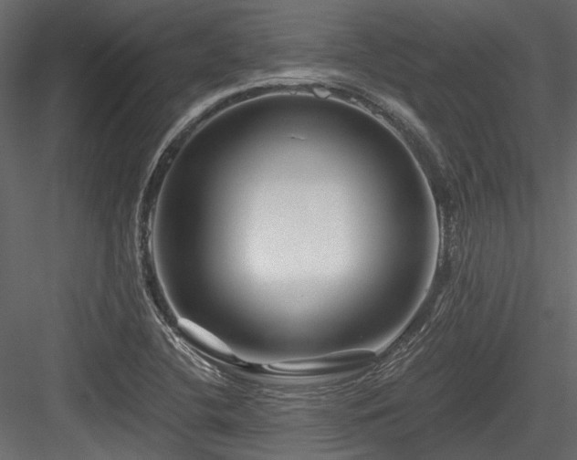 X0000084551412200702231152