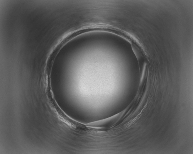 X0000084551414200702231152