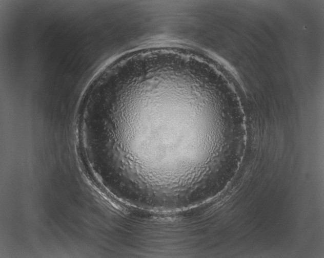 X0000084551415200702231152