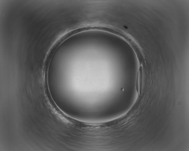 X0000084551416200702231152