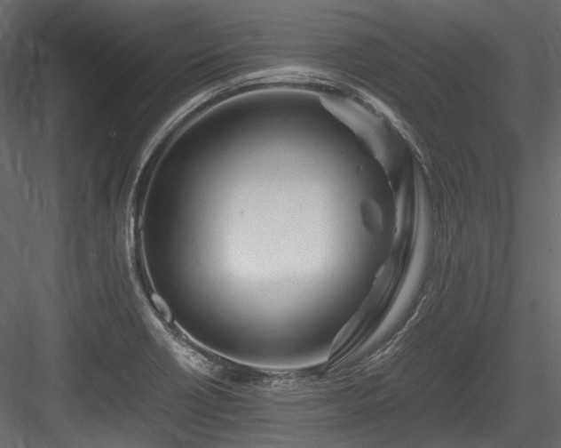 X0000084551418200702231152