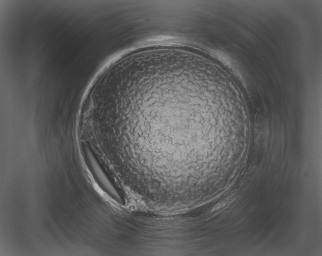 X0000084551421200702231152