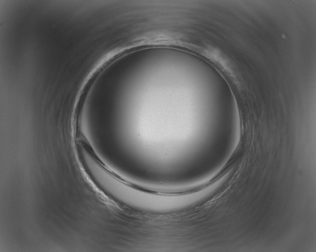 X0000084551424200702231152