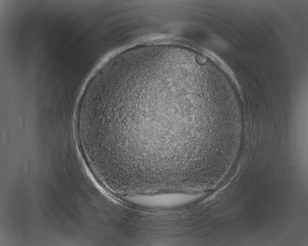 X0000084551429200702231153