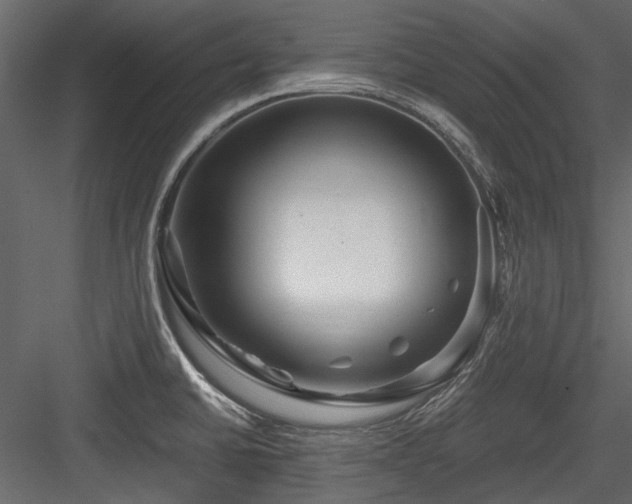 X0000084551430200702231153