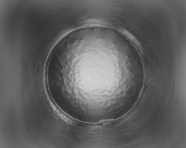X0000084551431200702231153