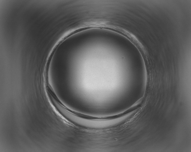 X0000084551432200702231153