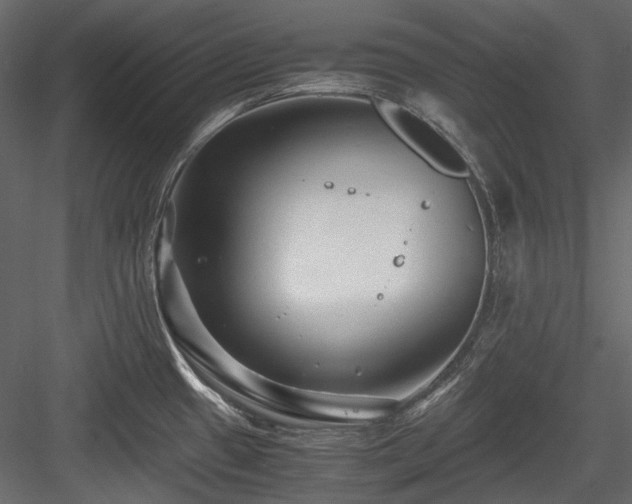 X0000084551433200702231153