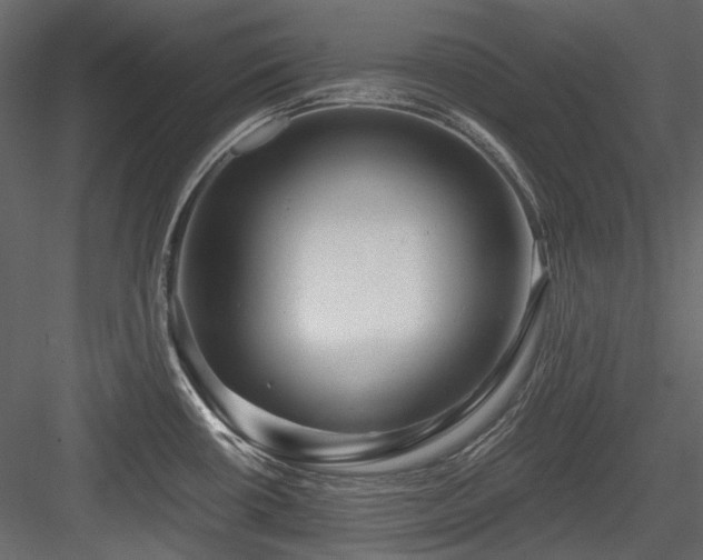 X0000084551434200702231153