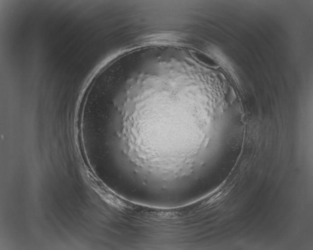 X0000084551435200702231153