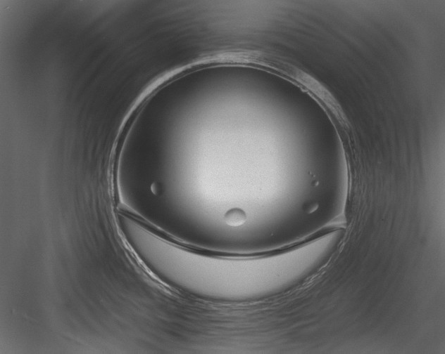 X0000084551436200702231153