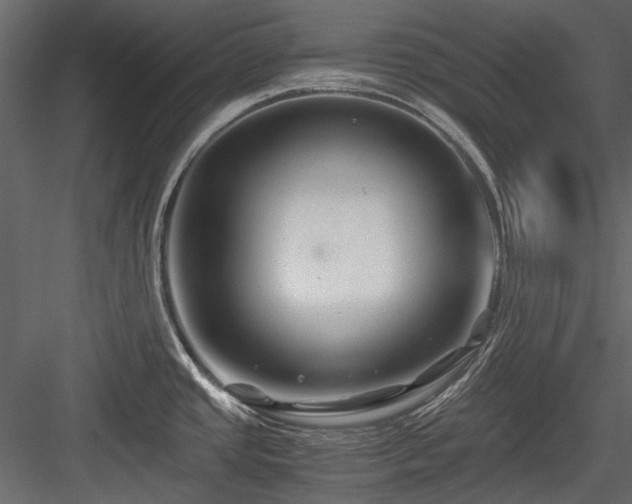 X0000084551437200702231153