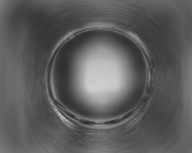 X0000084551438200702231153
