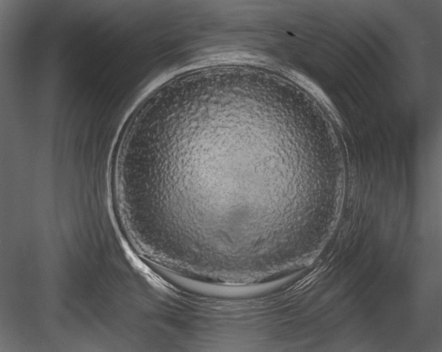 X0000084551439200702231153