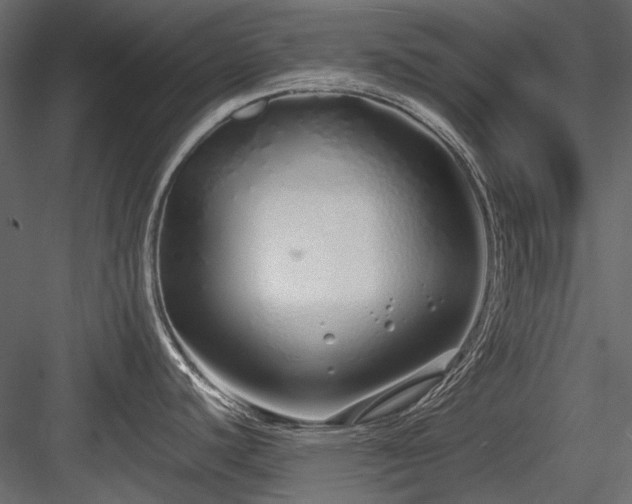 X0000084551440200702231153