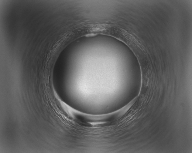 X0000084551441200702231152